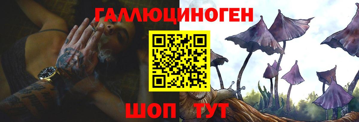 Галлюциногенные грибы Psilocybine cubensis Котовск